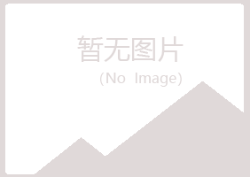 偏关县曼山会计有限公司